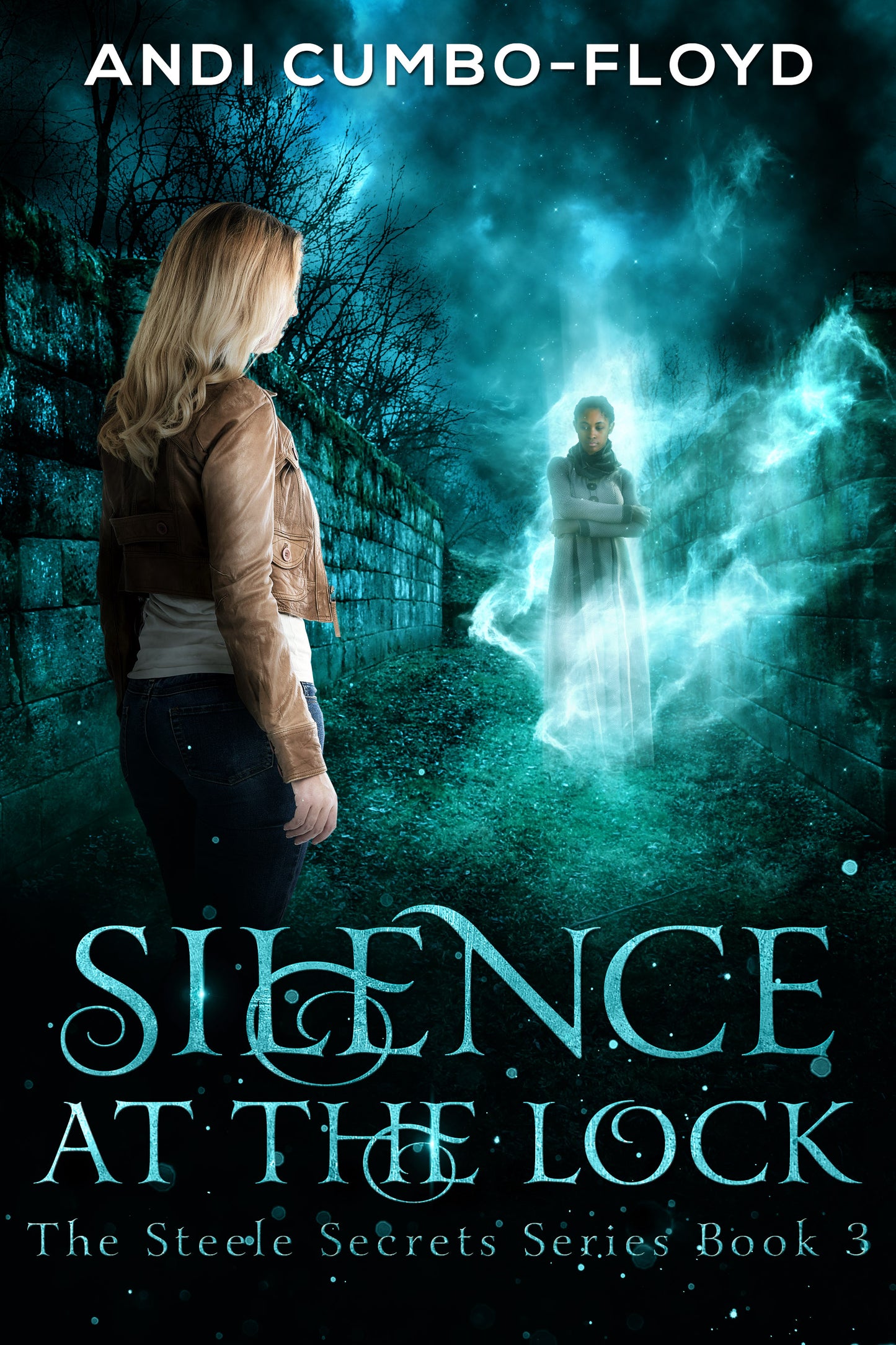 Silence at the Lock (The Steele Secrets Series Book 3)